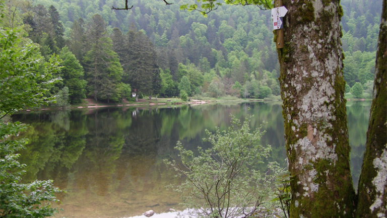 Wandeling rond Lac Blanchemer