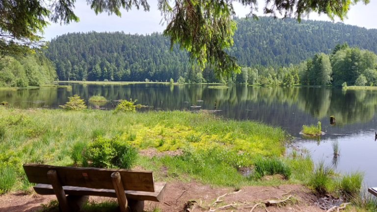 Wandeling rond Lac de Lispach
