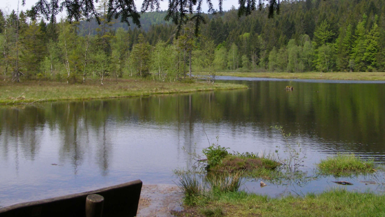 Zomerrodelen bij Lac de Lispach