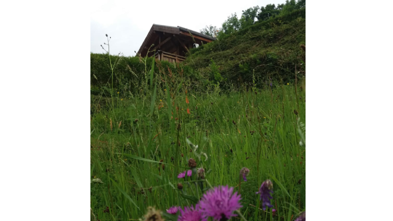 La Bresse stadje