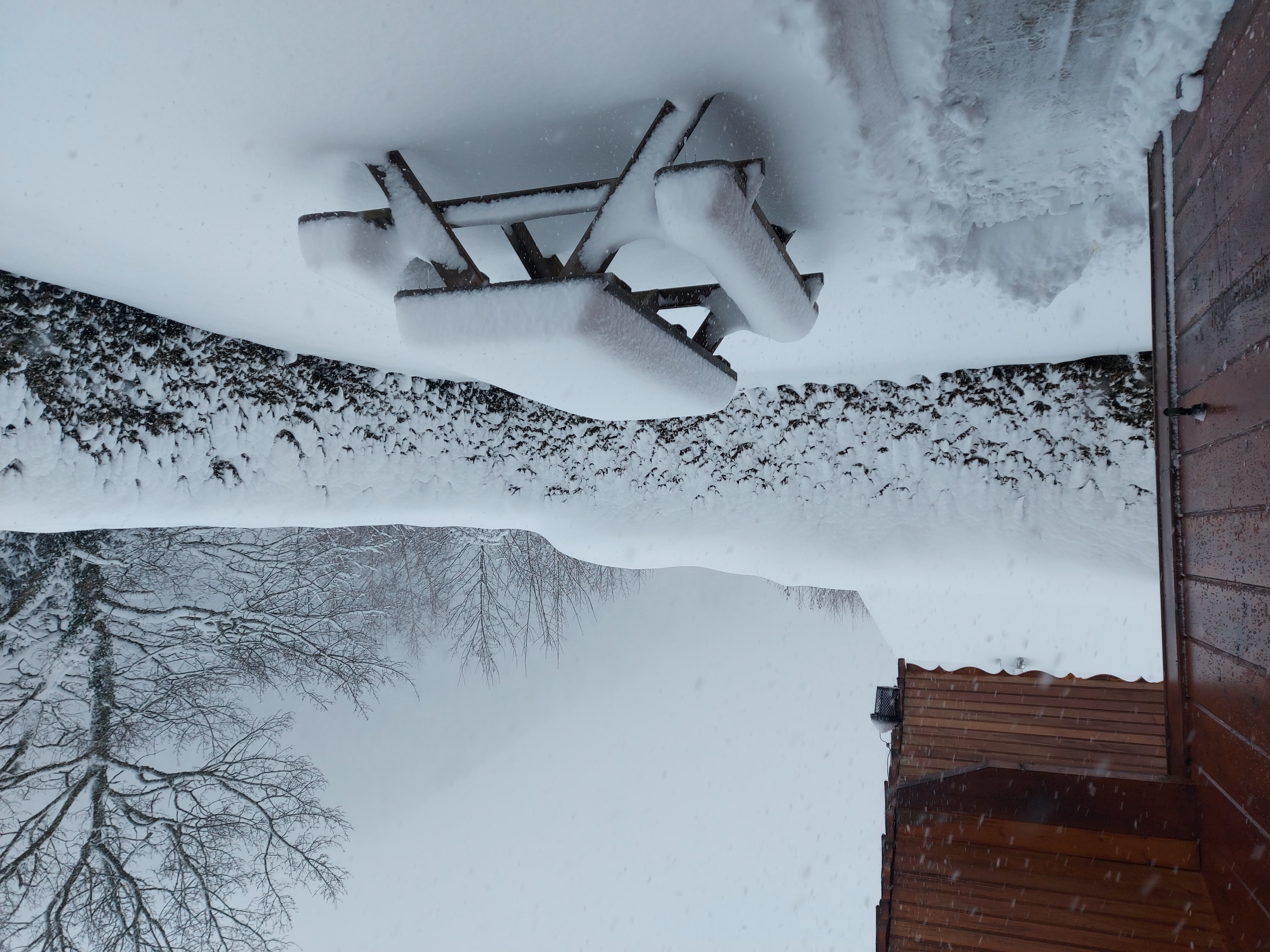 Chalet L'Ourson
